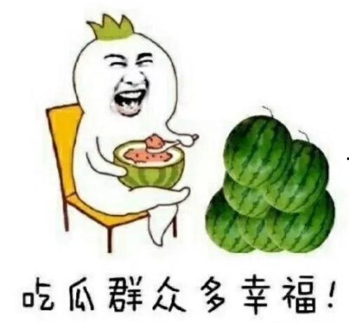 娱乐常吃瓜